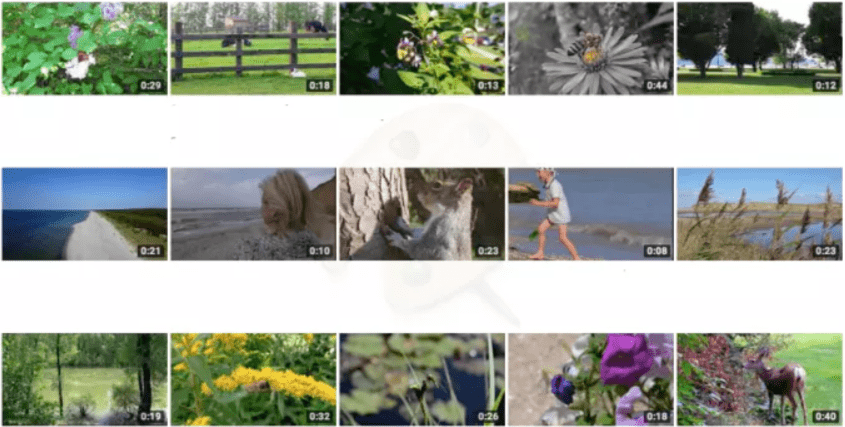 FireShot-Capture-475-send-you-1500-hd-1080p-royalty-free-stock-videos.jpg-680×348_-fiverr-res.cloudinary.com_